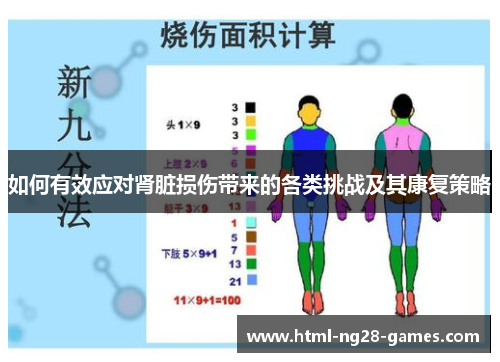 如何有效应对肾脏损伤带来的各类挑战及其康复策略